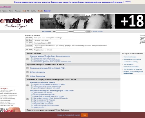 A Review Screenshot of PornoLab