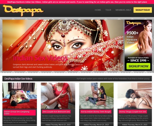 A Review Screenshot of Desipapa