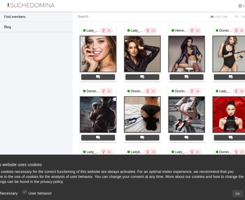 A Review Screenshot of SucheDomina