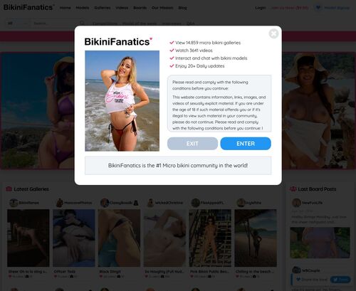 A Review Screenshot of Bikinifanatics