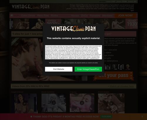 A Review Screenshot of VintageClassicPorn