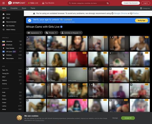 A Review Screenshot of Stripchat.com African