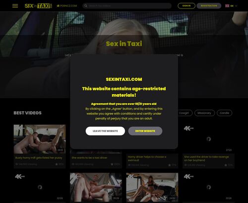 A Review Screenshot of SexInTaxi