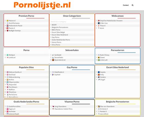 A Review Screenshot of Pornolijstje